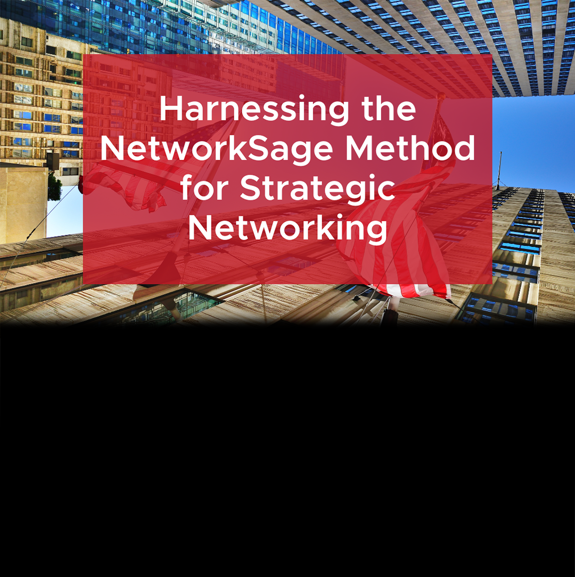 Harnessing The NetworkSage Method for Strategic Networking